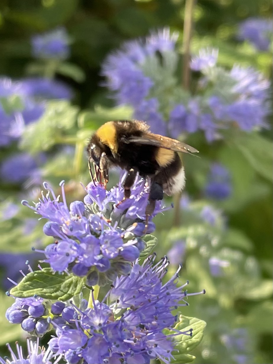 65F73DDE-B195-46F6-899B-25772ED0364C