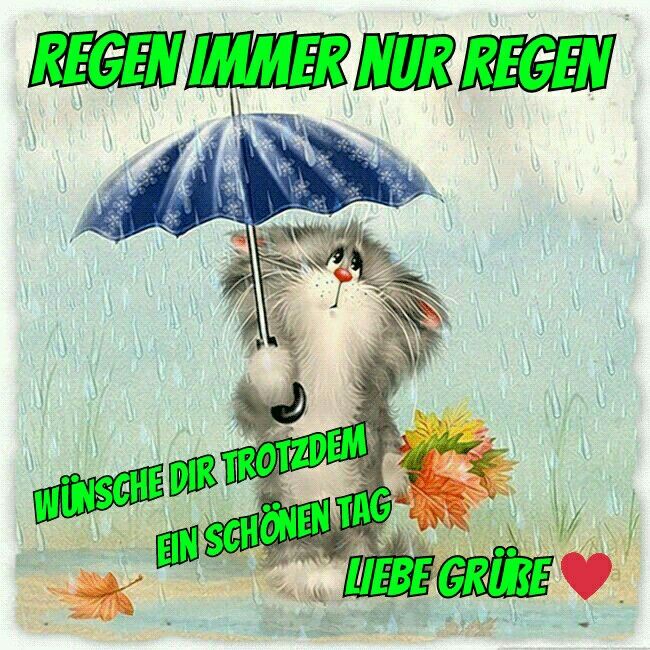 65b01ad13f912103bdc4673a43b9c973