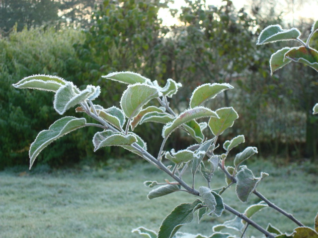 6606720C-4FE7-4EDF-B4C2-8C46BACF2769