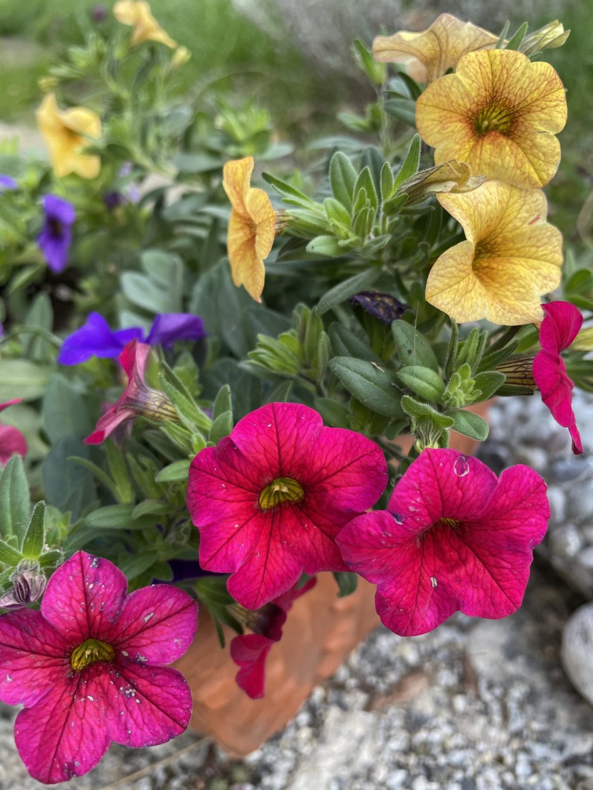 660C7A97-F7D3-4BA9-B7DA-0739DBD4D445