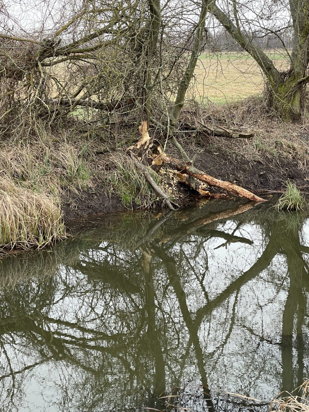 661CC93F-712C-4ACC-932A-5C2CD53AD1C9