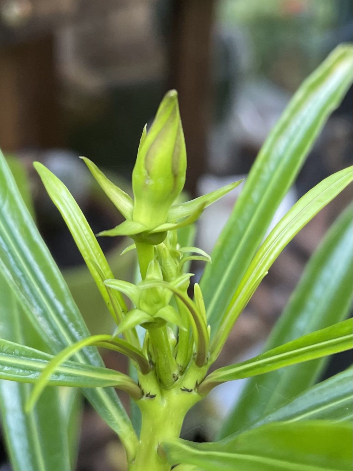 66376C67-19F9-4128-B3DF-4BF257E49E57