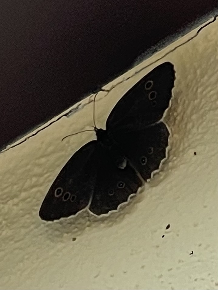 663FCC3A-A39E-4E05-B8D1-0600C6A1290A