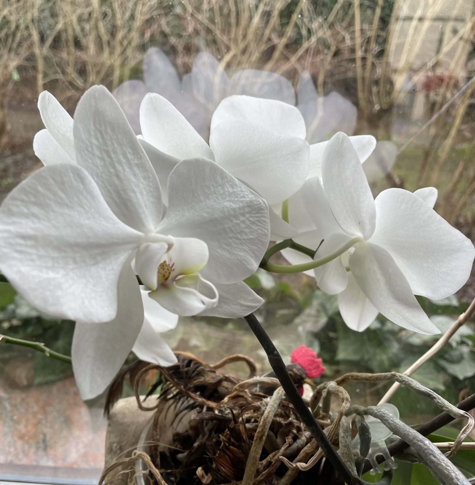 66C0C657-FD8B-4580-83C5-73B20B8CD137