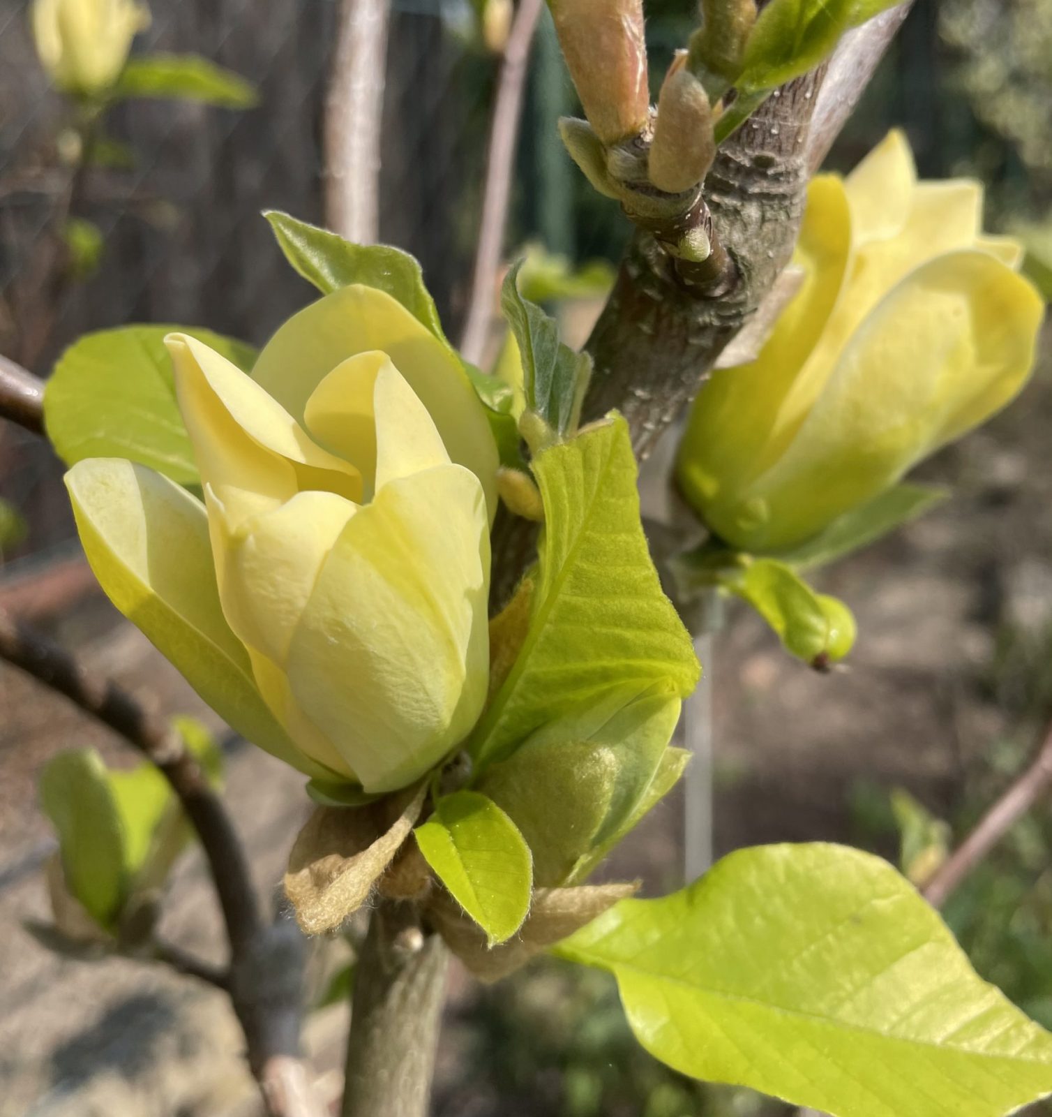 67335622-F01C-46BE-9FC3-C1D090826B7A