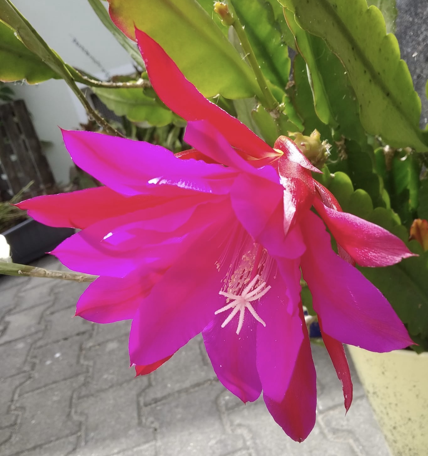 6777DB01-117B-4ED4-B884-BDD1B0330DEF