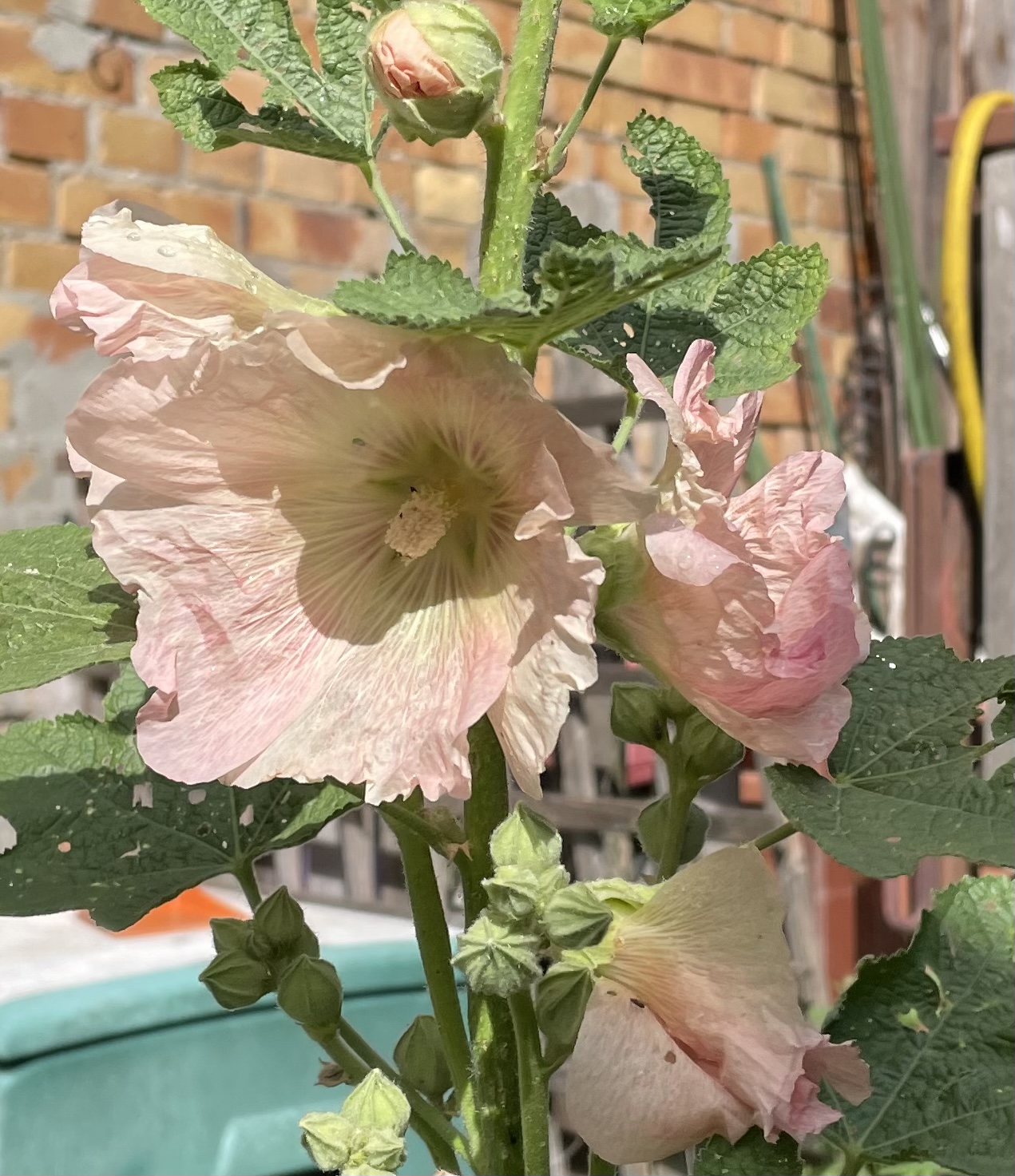 677F127C-79ED-49E7-8B0D-85A20D07AFE5