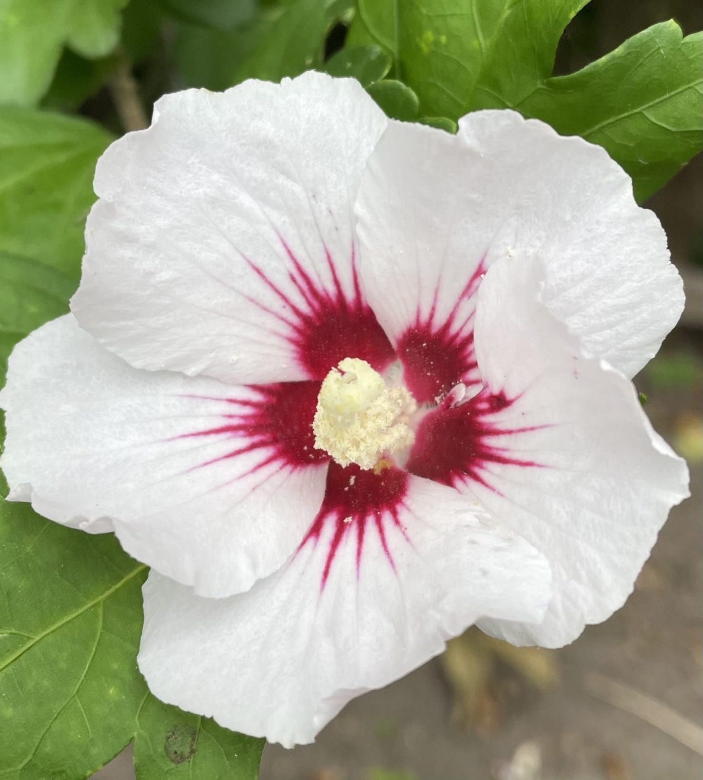 687B662A-8CBF-4C15-AA66-312575659DDD