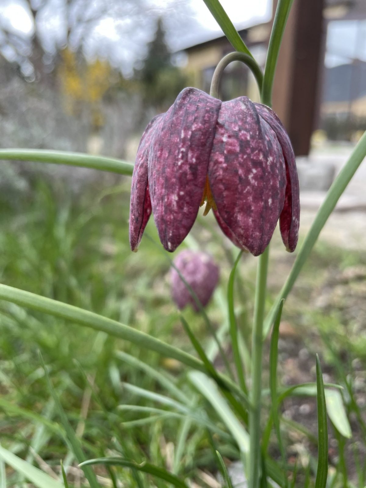 68904306-0BB6-4682-8128-EB2851065985