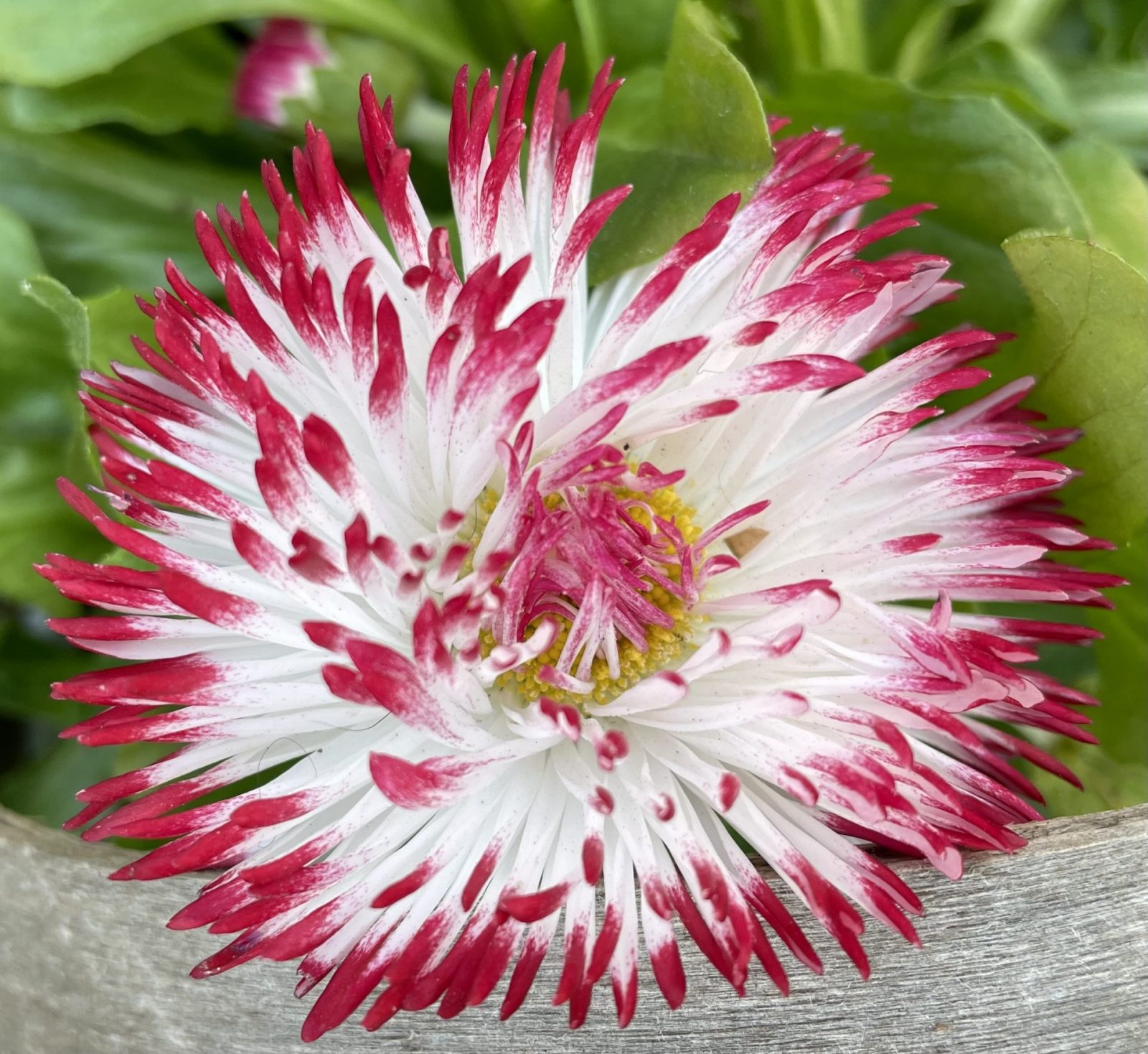 69AE7D9B-DFA7-4FBA-96C0-3A8F1106E5AC