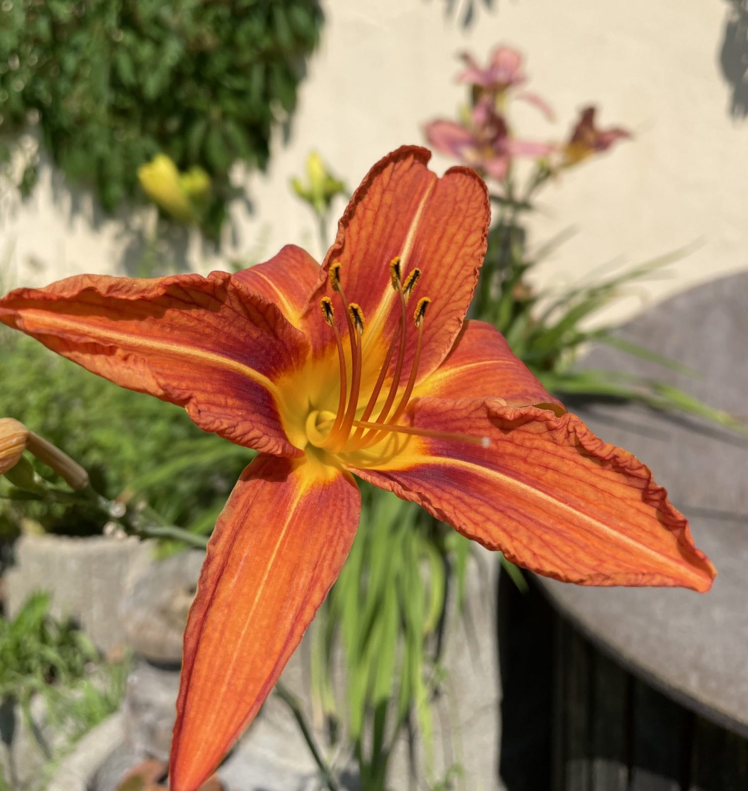 6A1924DC-04EC-47F2-8D11-7070AC4CCF07