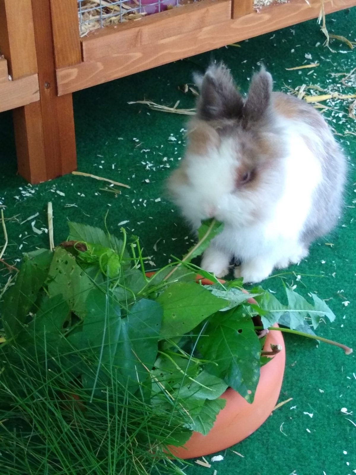 6A7AF16F-53D4-4FC3-BFF3-D2DE23151EB9