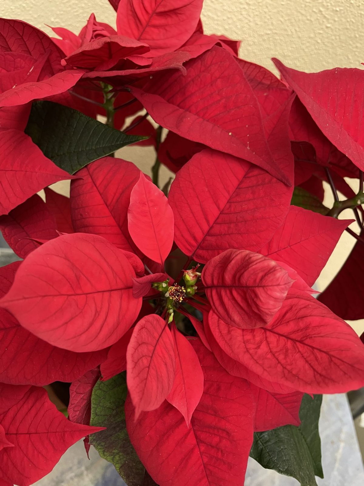 6A9DED5E-FF60-4A4B-8F62-03BDC2707B2B