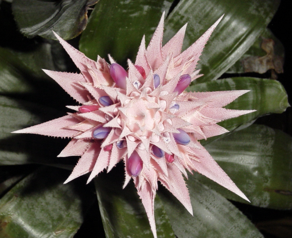 6AC56A90-8E4F-44FE-8810-D734646E9992_1_201_a