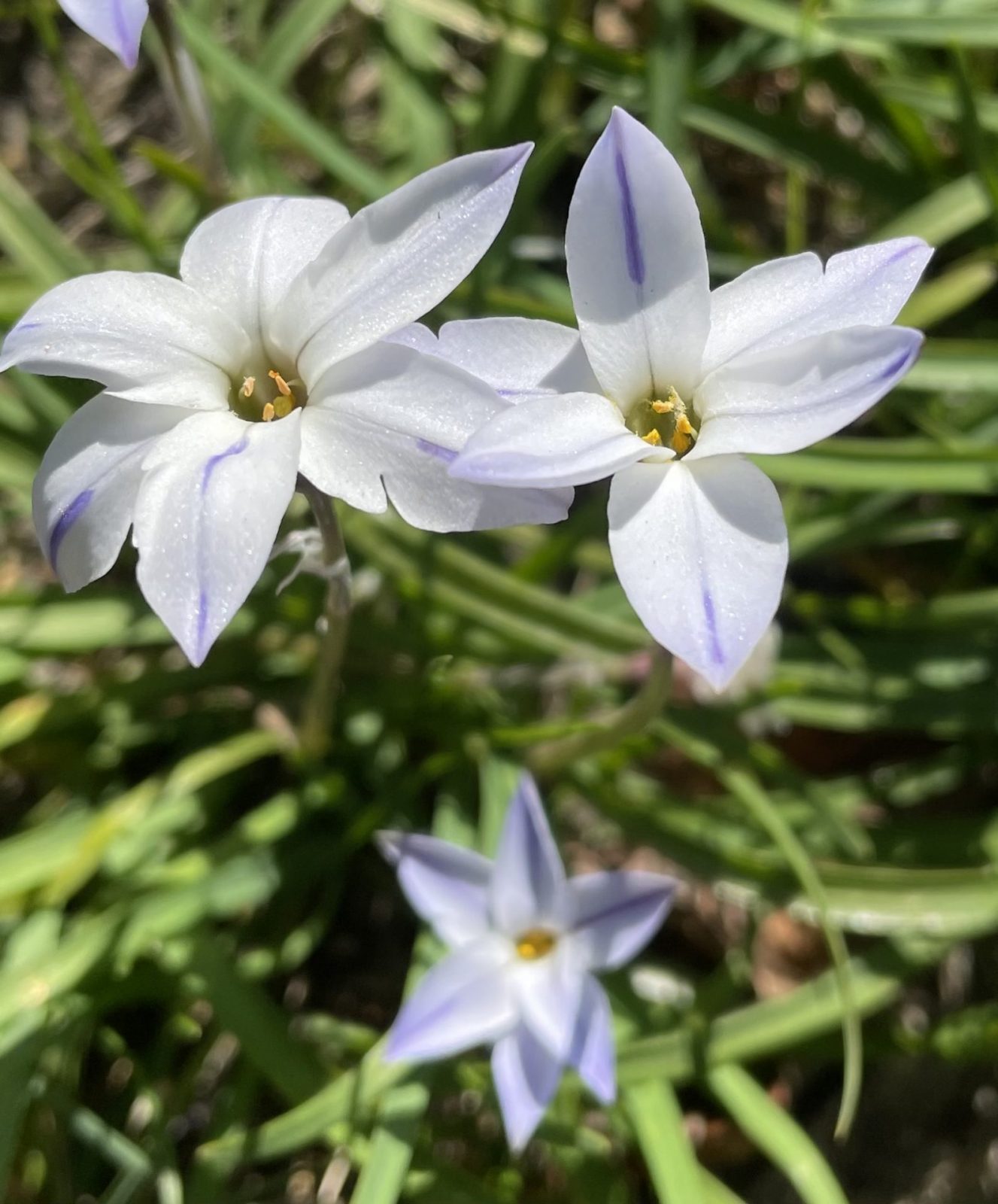 6AF8686F-0A91-4331-823F-A0AD0C4B205E