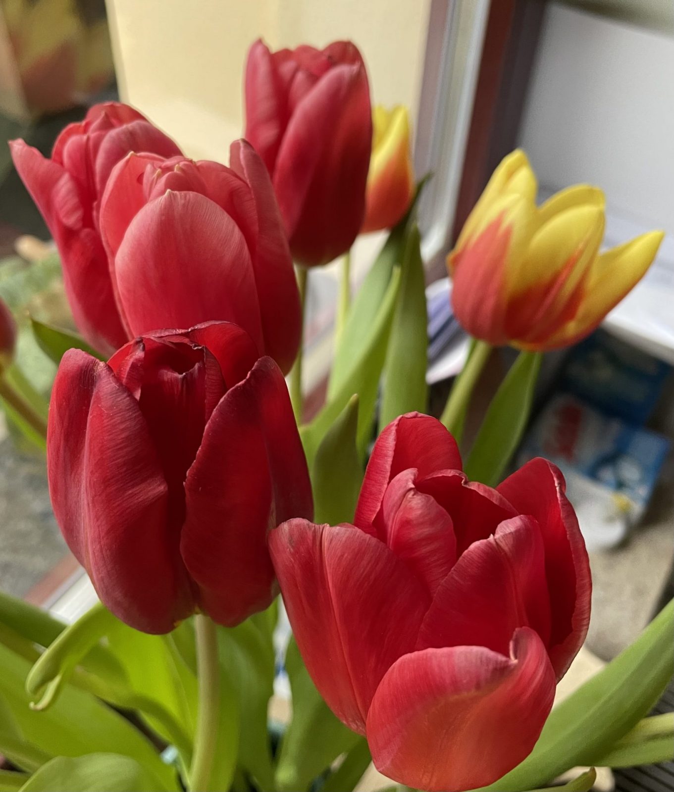 6B3A71FF-B2BB-4FA6-BF5F-0FBB40F23A00