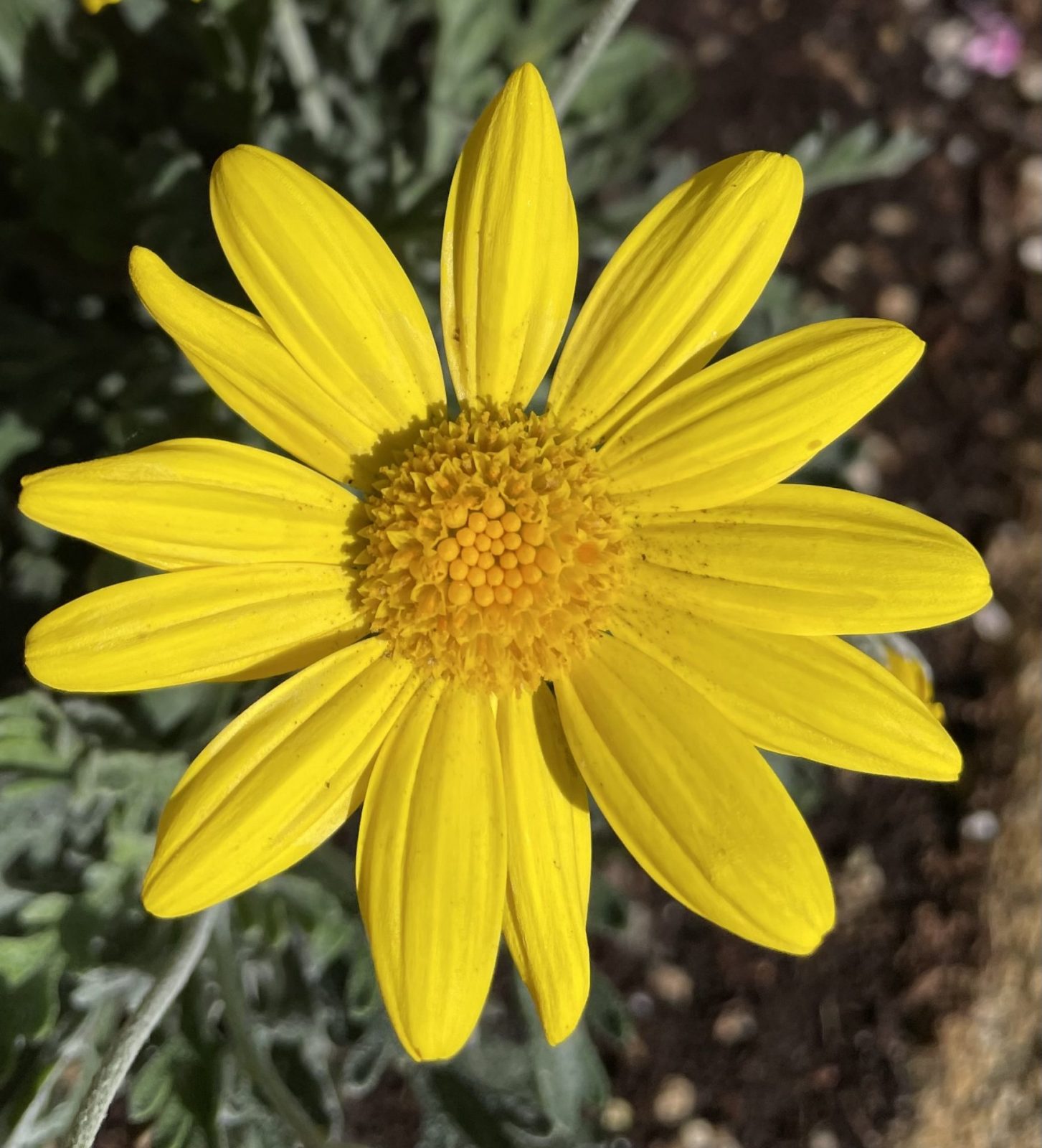 6B478AD4-FD1B-487C-8608-6C994C0B4E48