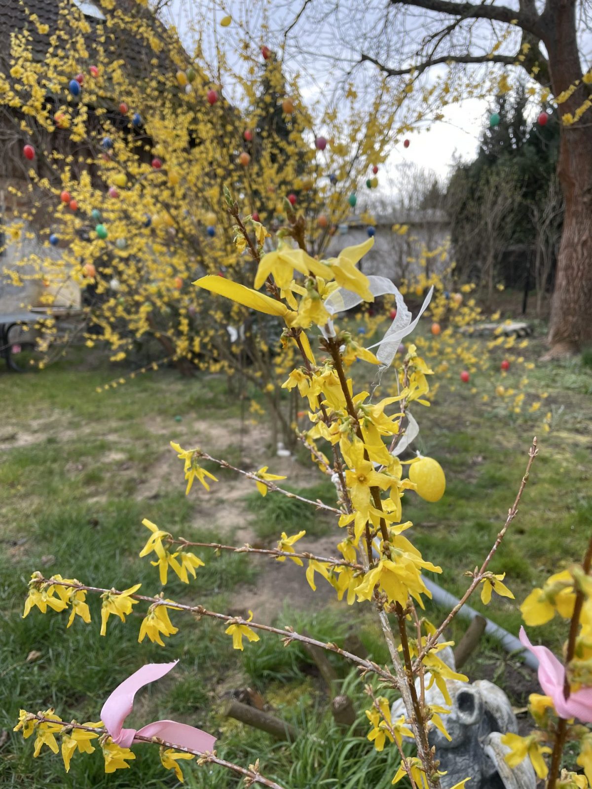 6B5CBB5F-CD9F-4BEF-997F-E66EEC07BC1E