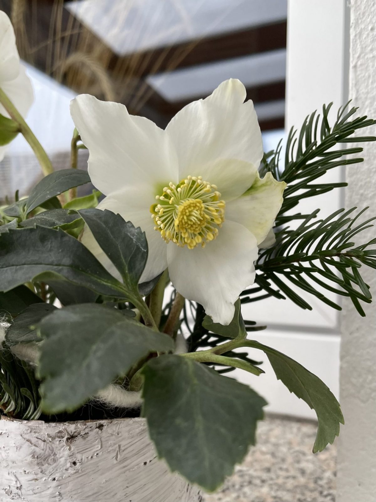 6BAB5F47-79D7-40E9-9AFB-163338D66E6E