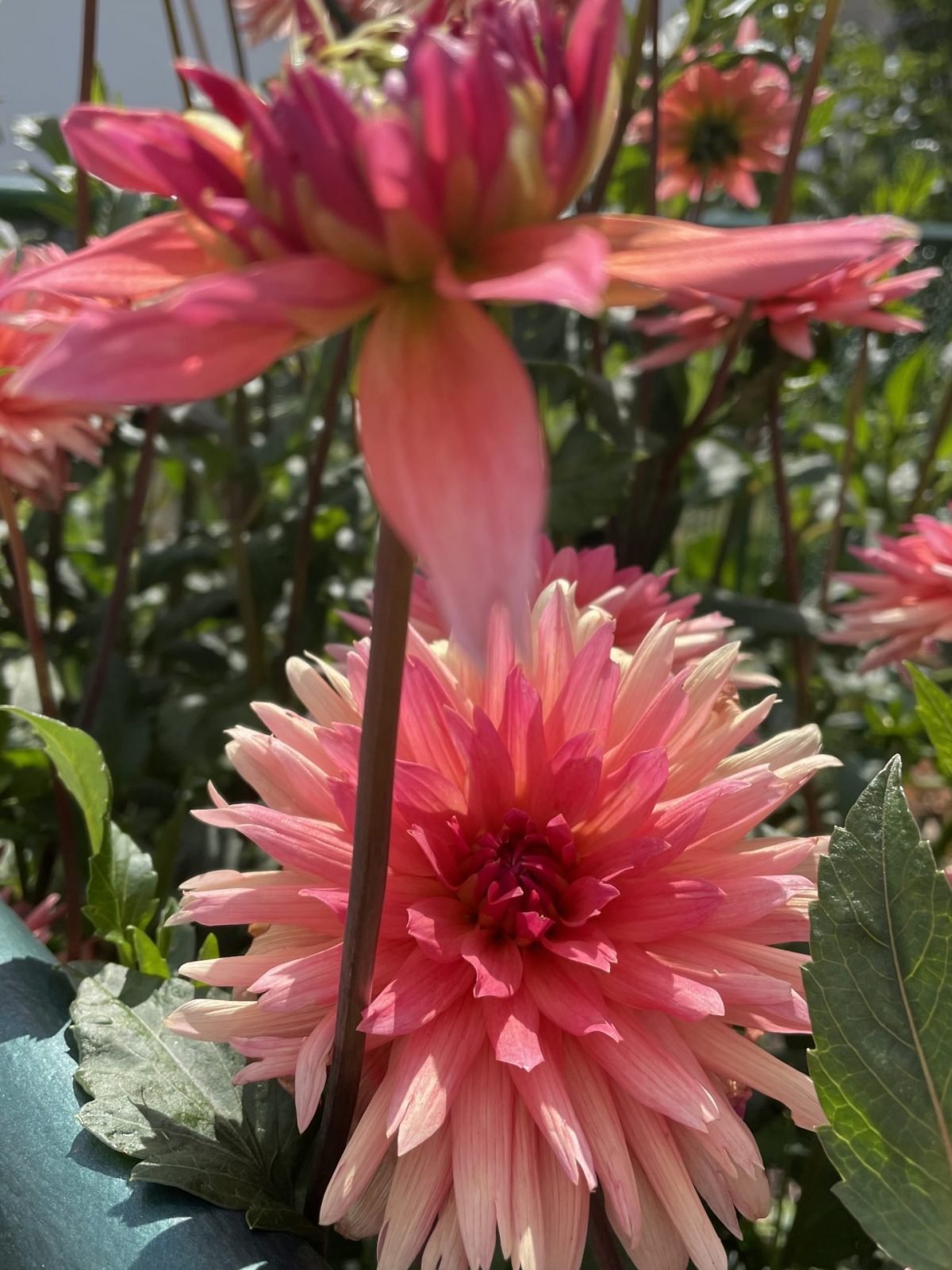 6BD619BE-1EF4-4BE6-BD28-727110721C3A