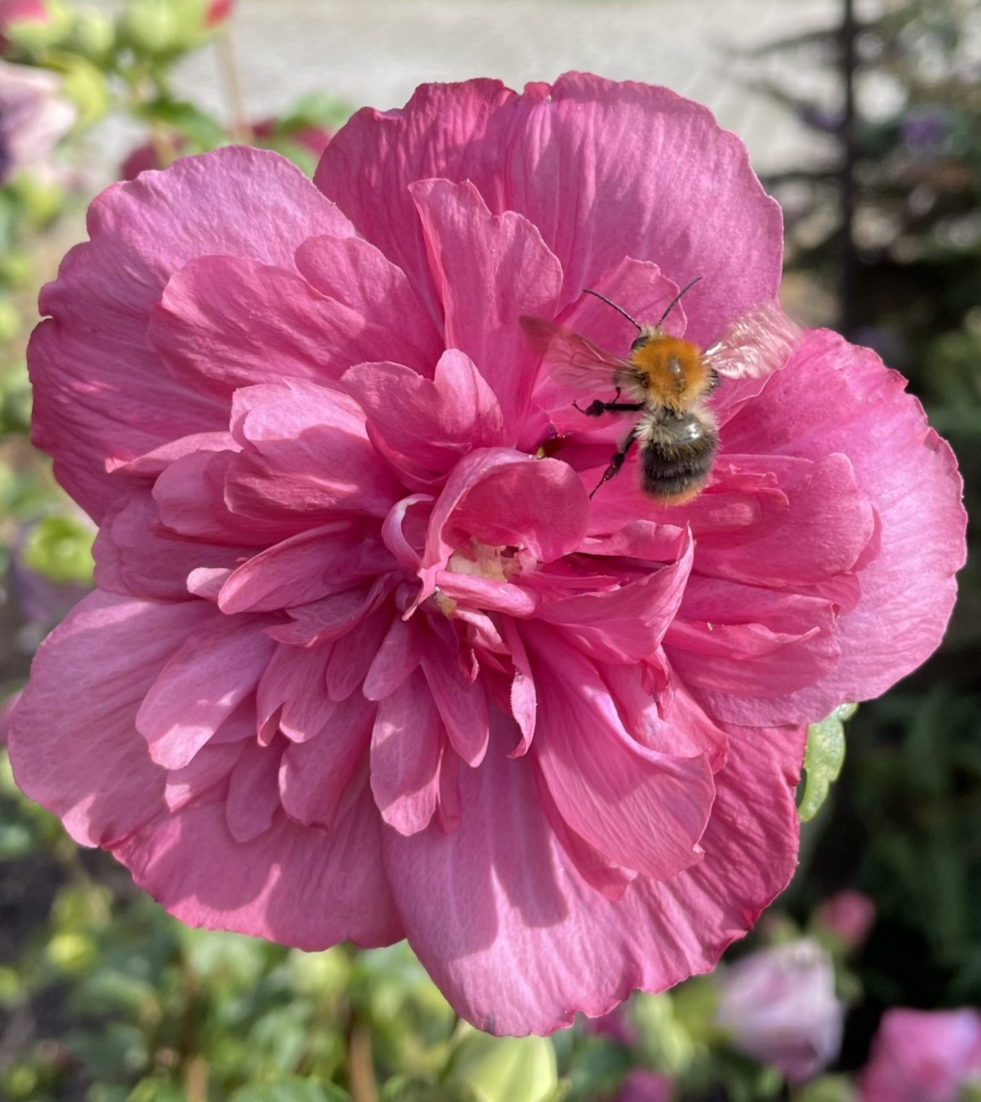 6BE370BC-3812-4461-BBF4-75CC5B970840