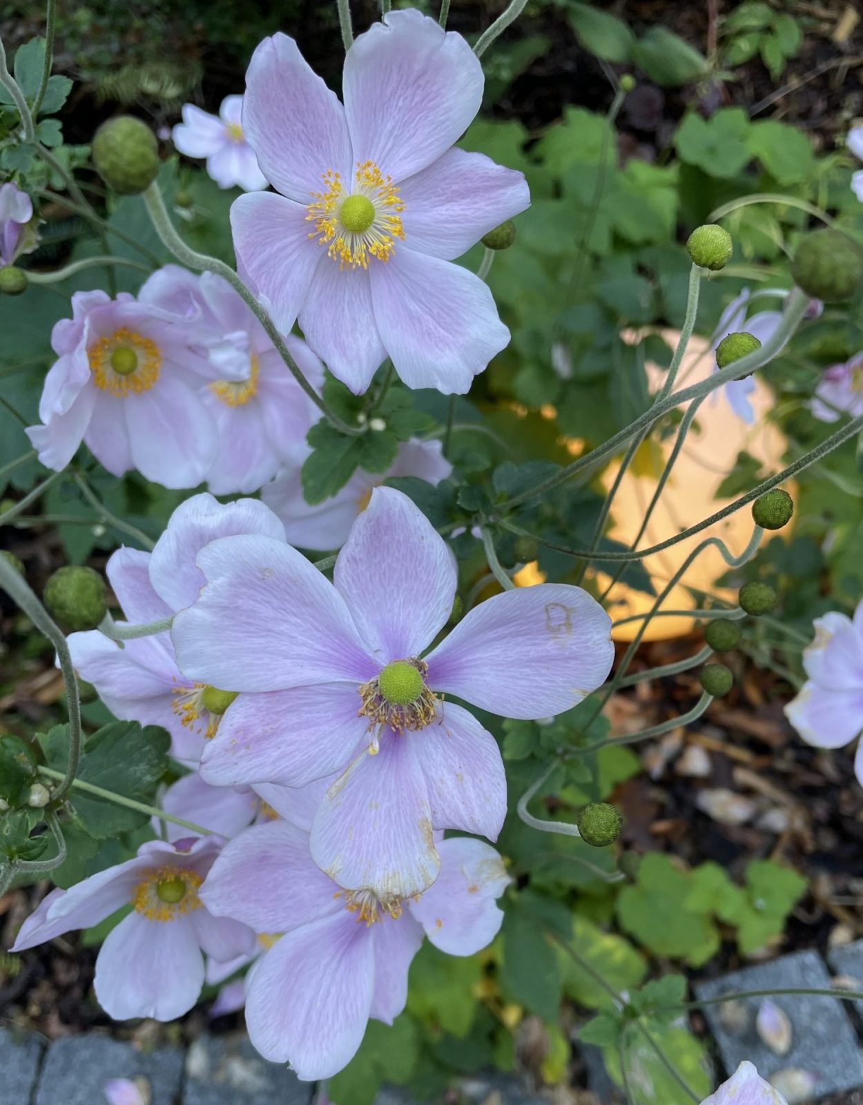 6C335699-456E-465C-BF8C-971269F58687