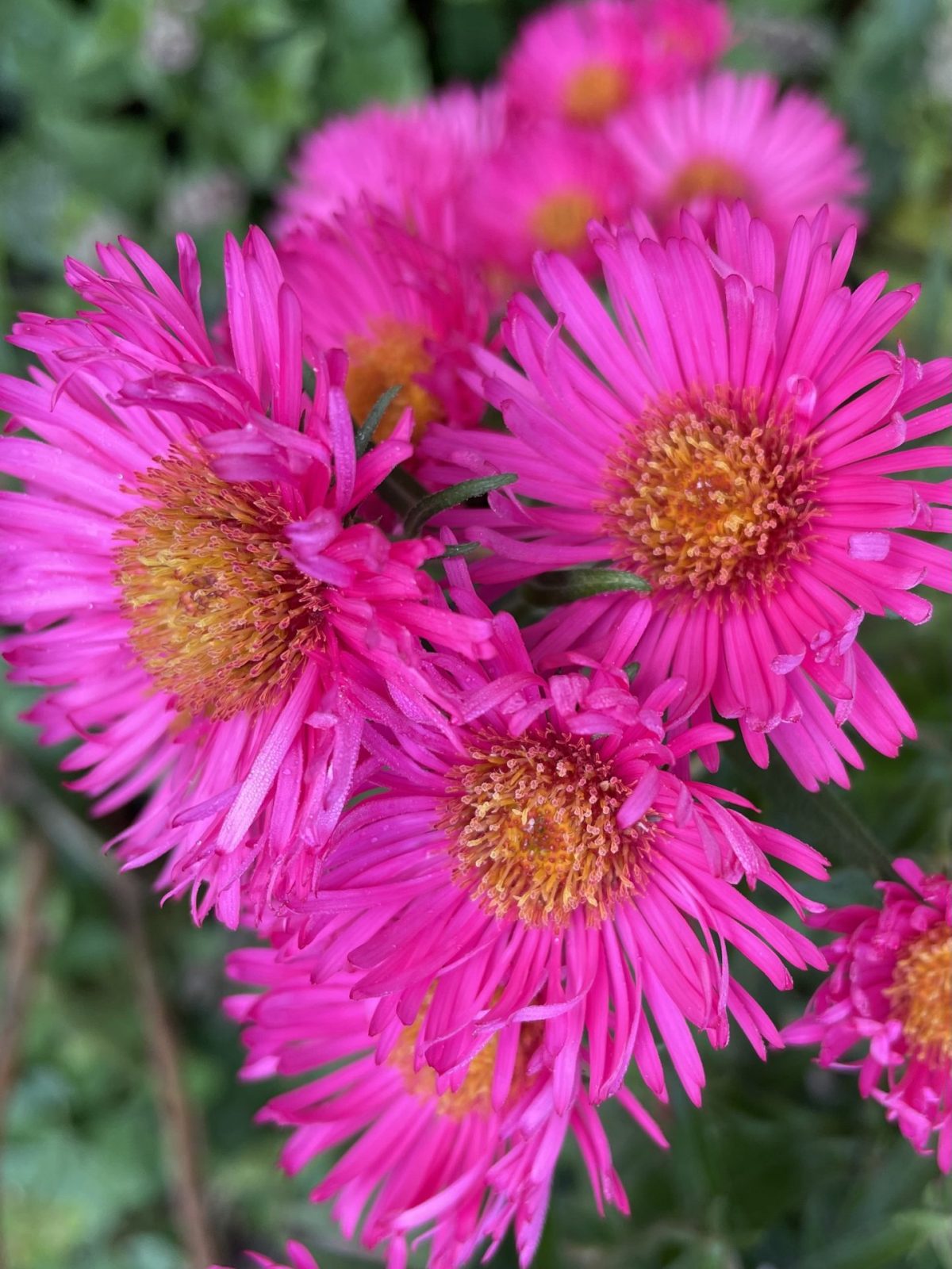 6C350B09-95A3-4728-A165-50549AB9B016