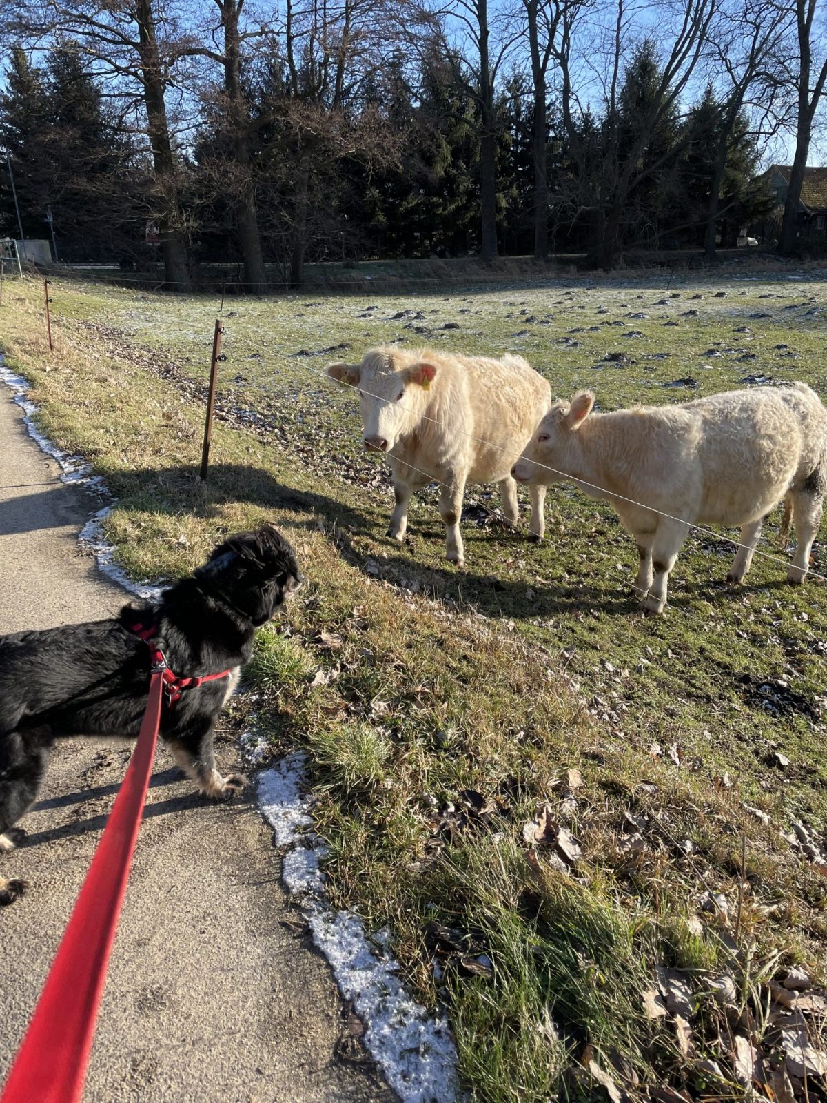 6C351C23-155A-4BAB-B1F2-98EAB34871AC