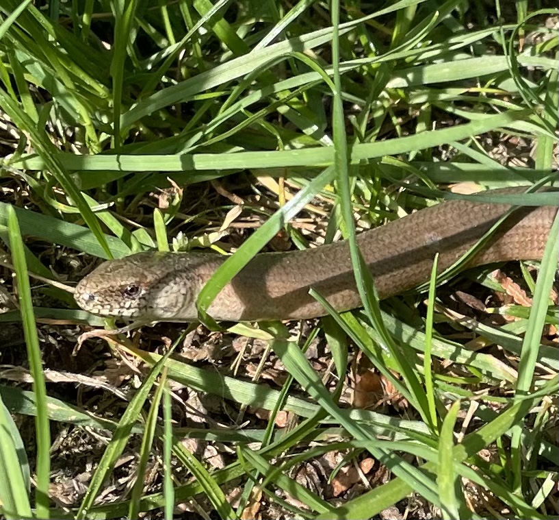 6C395B47-65AB-4273-A536-B12CB2E91F7D