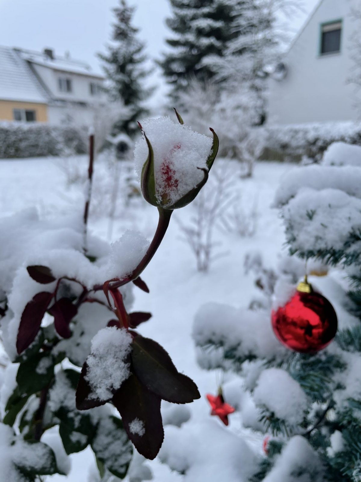 6C9151BA-494C-4069-BC1E-B9E7262E7656