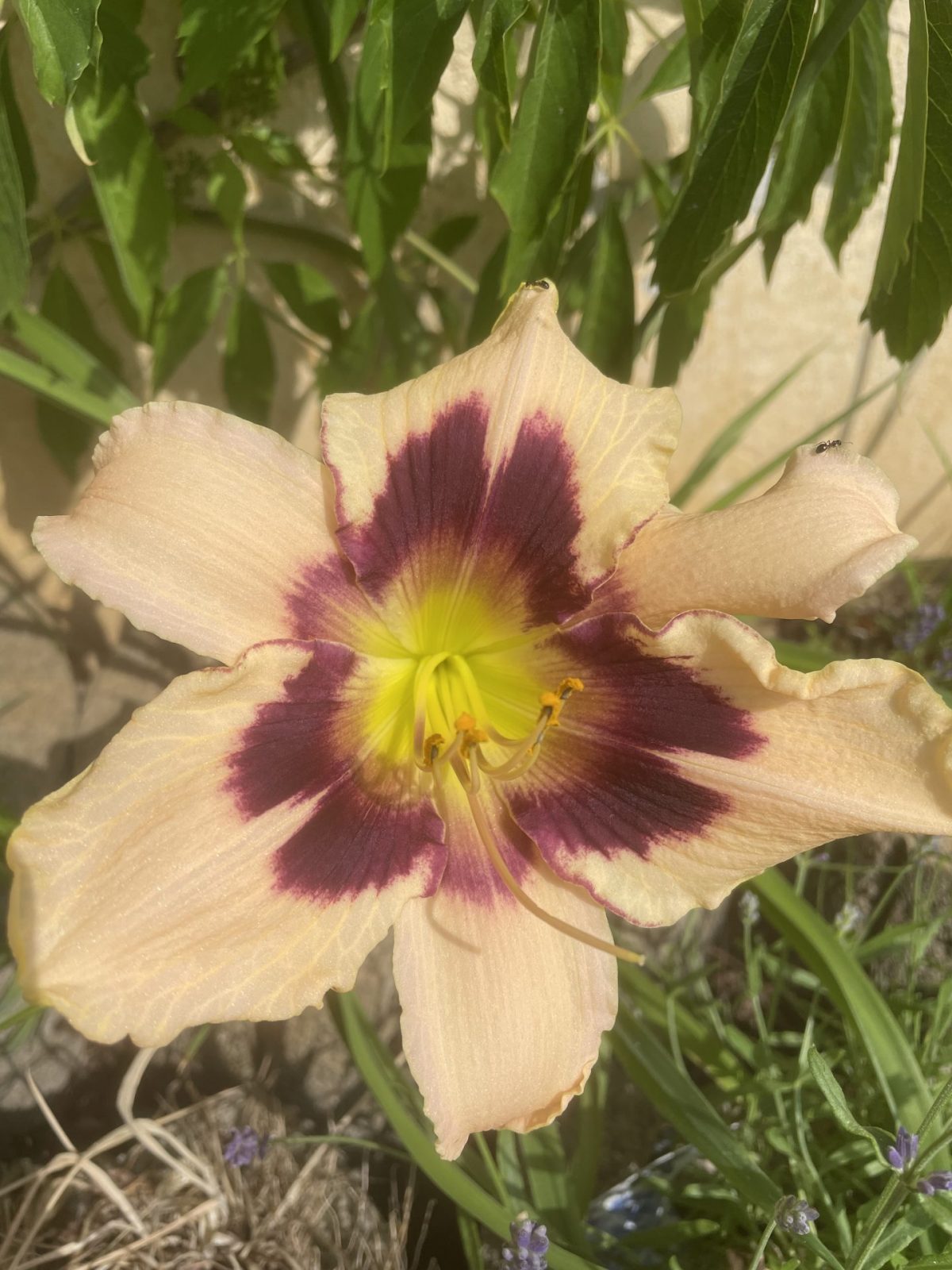 6CDF82E5-937B-4C2A-B5D7-8927189BB775