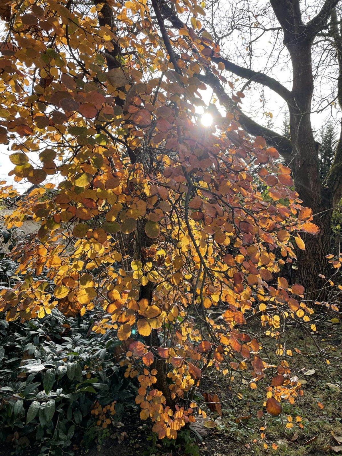 6D1ECB6E-2F87-447F-A1A6-23768019DC14