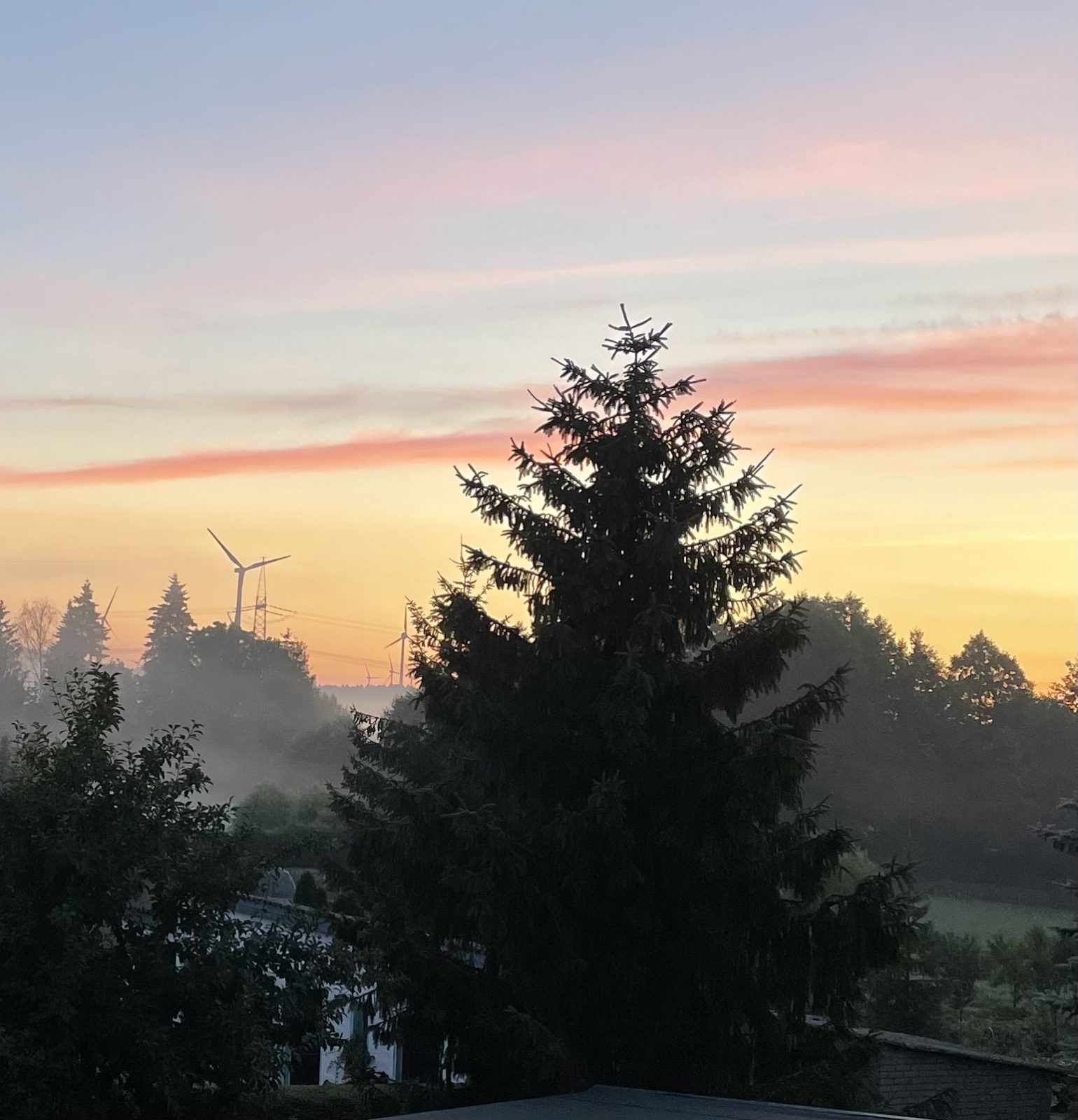 6D2465BE-2562-4D58-BCCE-9D7184F560CE