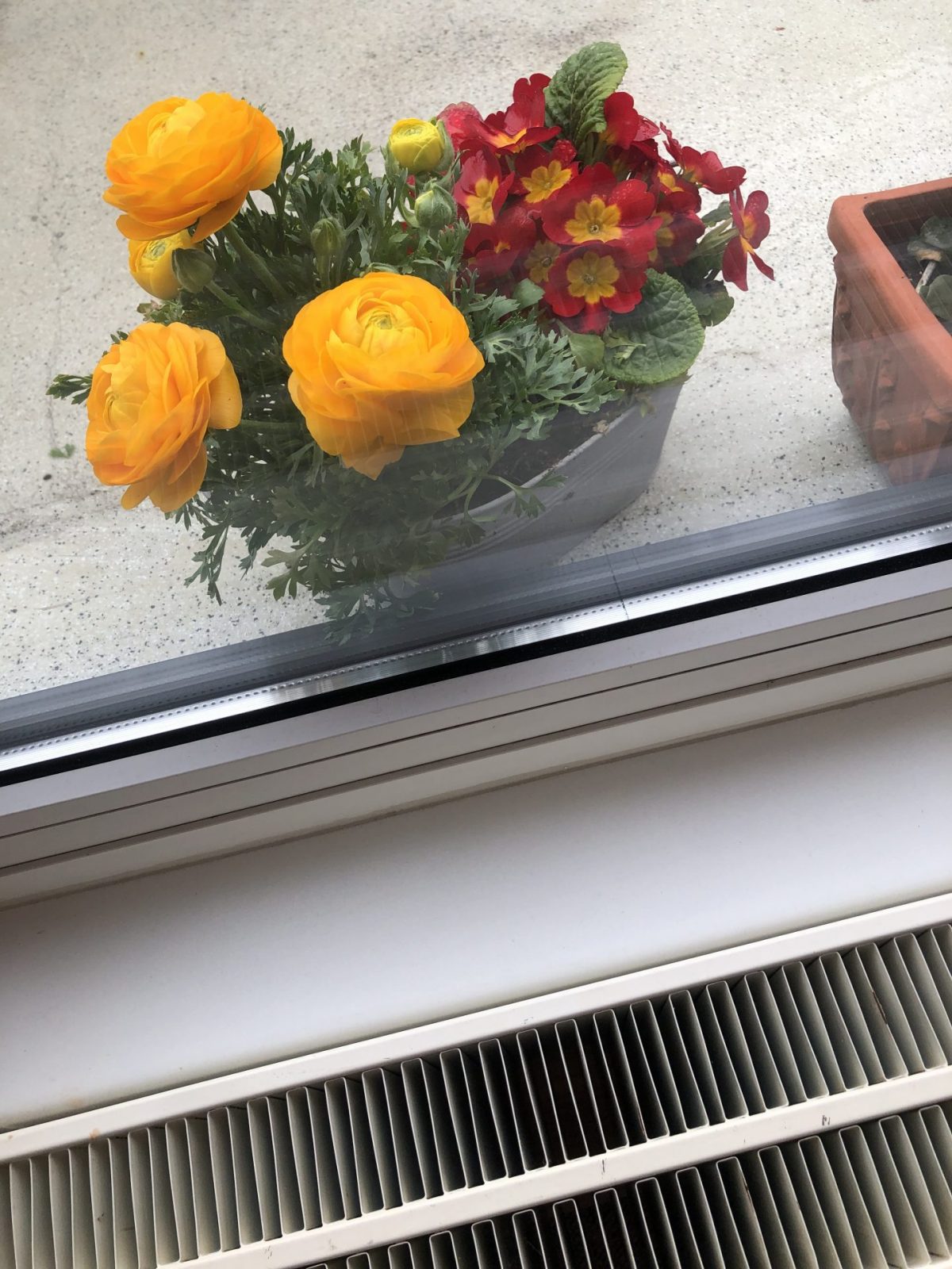 6D4B7096-B90F-42C7-A6D9-B216AC28019D