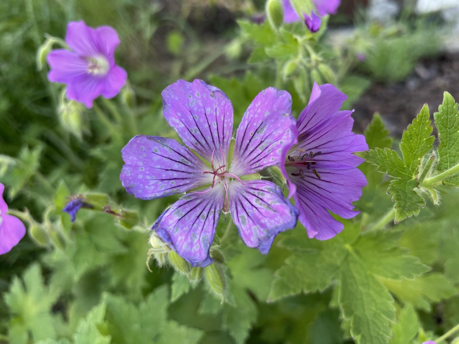 6D6FF469-2037-408C-9DEB-3766D2CD412A