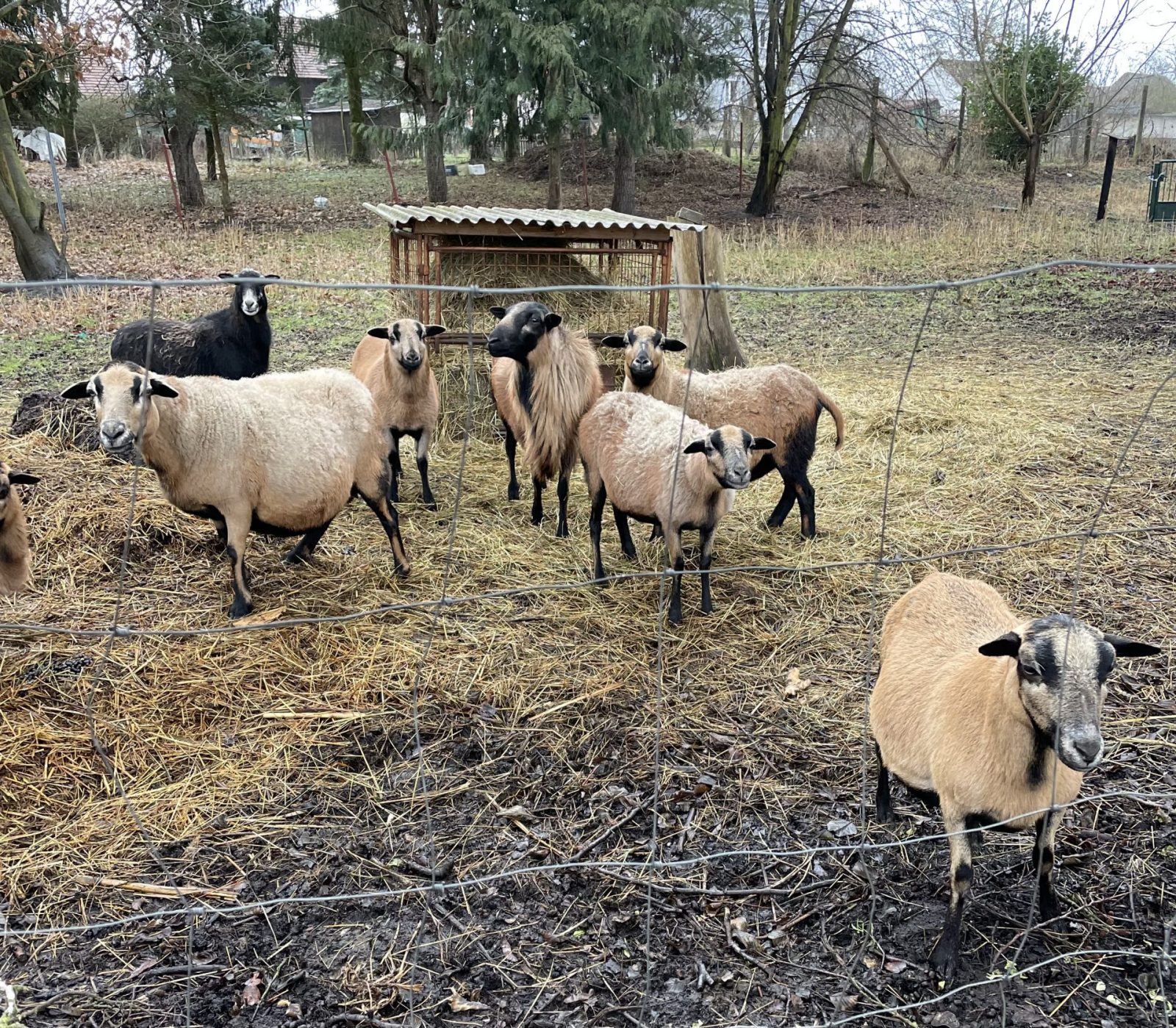 6D9956D4-FD77-40AD-9B95-1A020C410A10