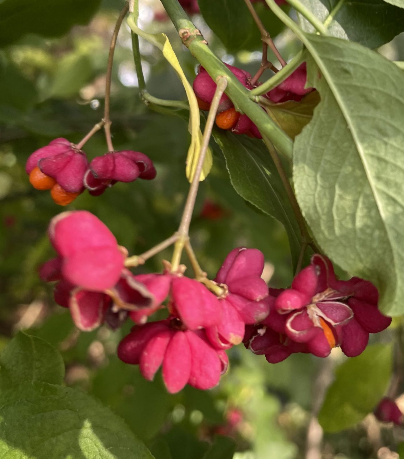 6E2BAA8E-83F9-40DF-B685-2C8F17BD7712