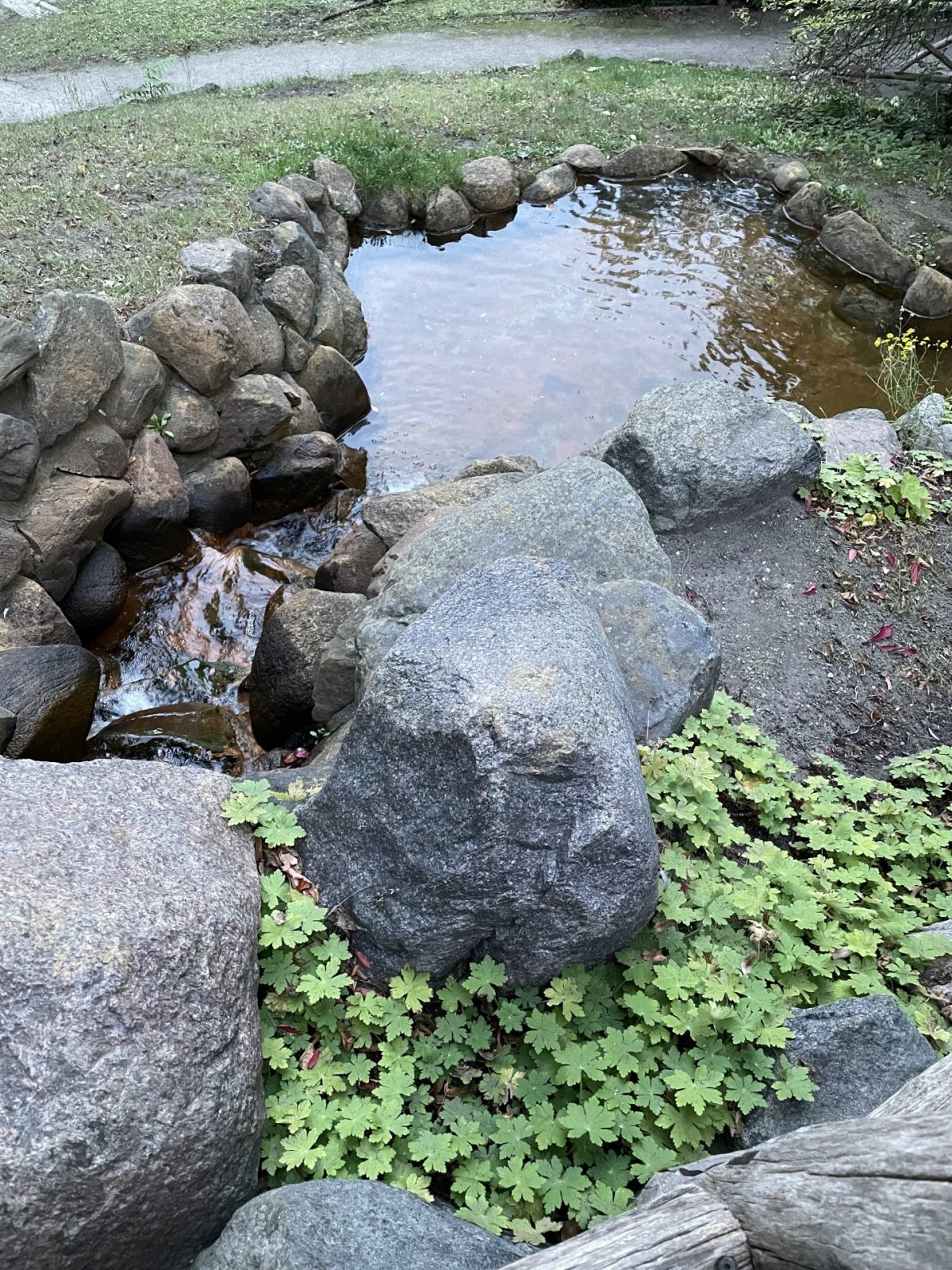 6E5057BF-9308-4C20-A5E6-8066B8BE60B2