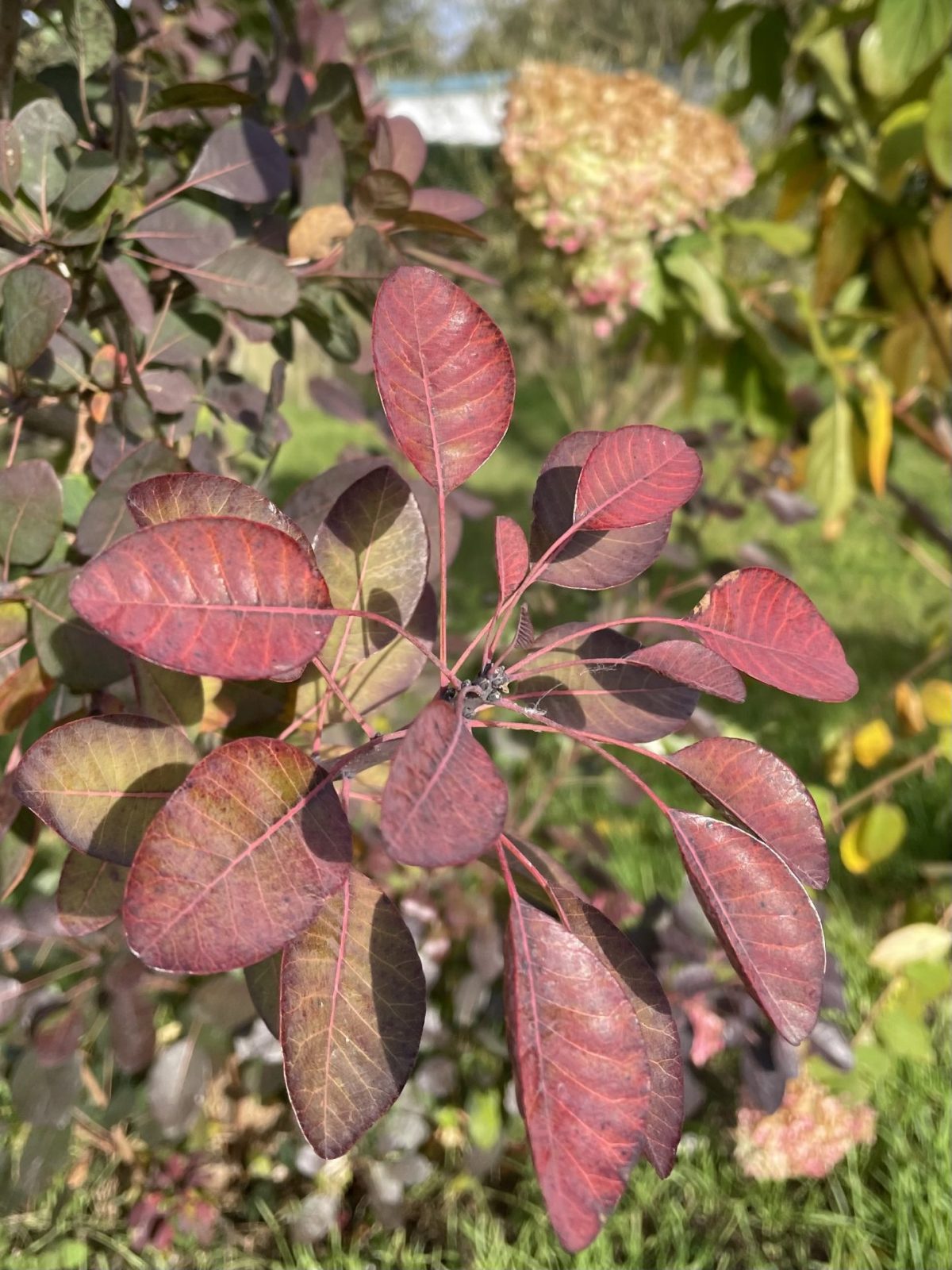 6E5F714A-1A3D-4D39-9C5E-FC688BAC27D5