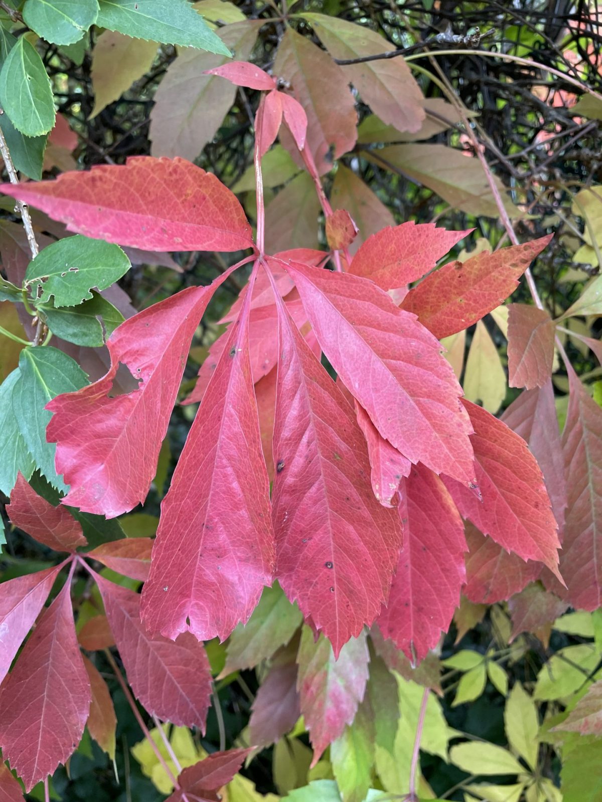 6E93DE44-0698-4520-B527-9BF2AC1950E5