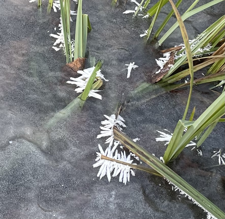 6EA2D0B3-9F18-42DD-A050-9D7EDE4CDB97