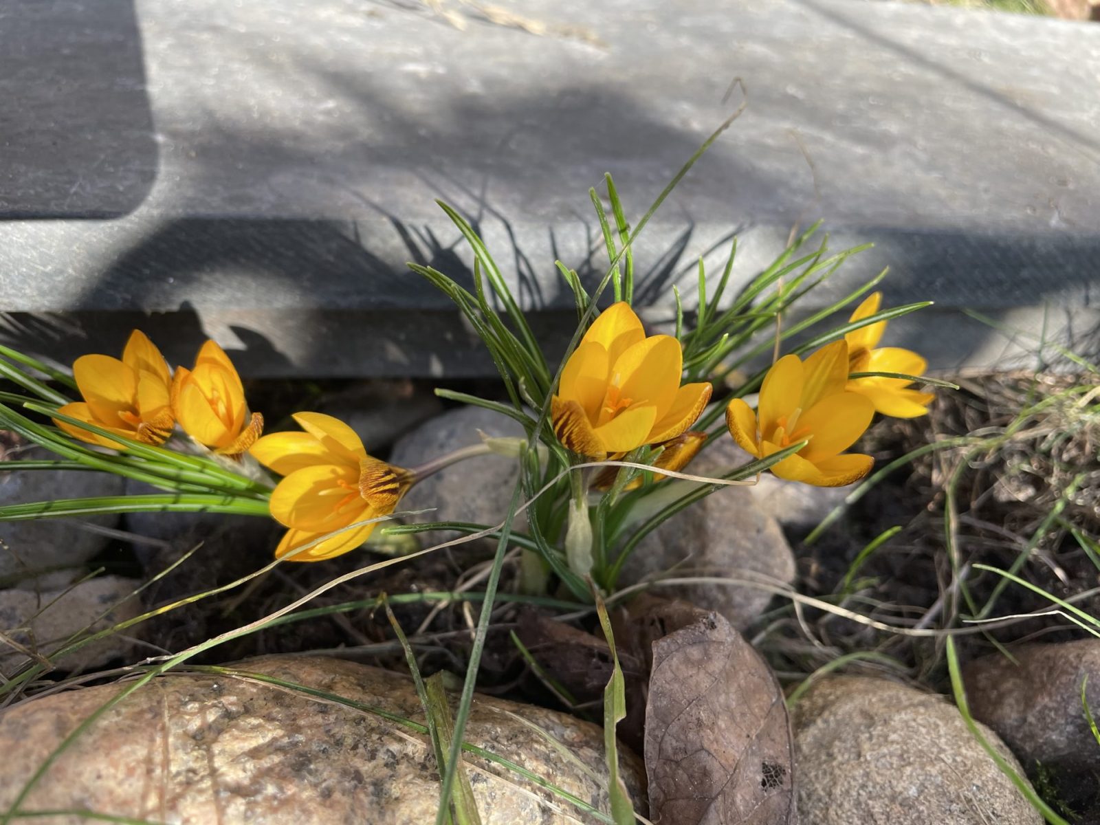 6EBB8AED-F80A-40B8-8D74-456D2520813E