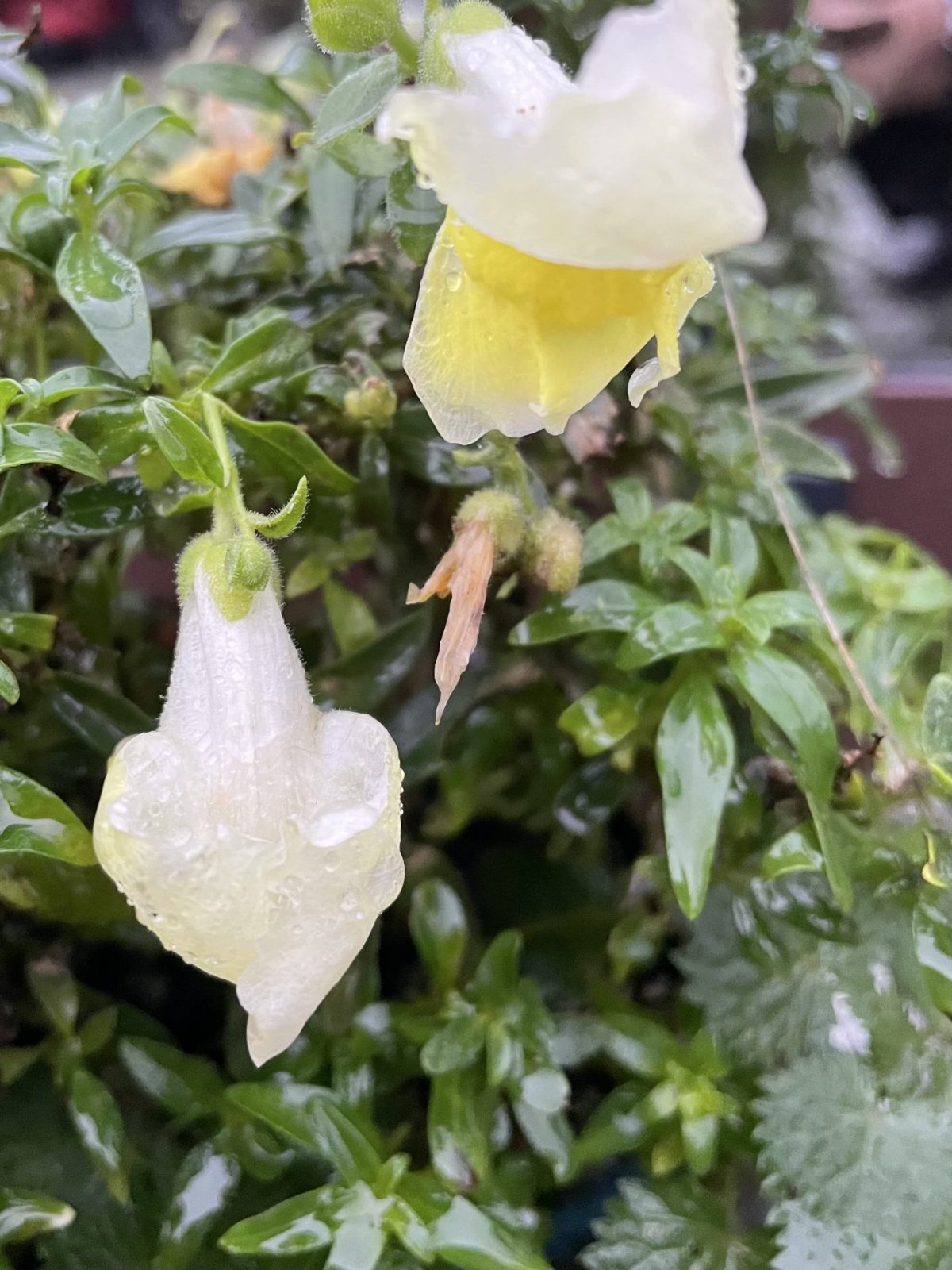 6F2B7643-3194-4909-8653-964491CB7983