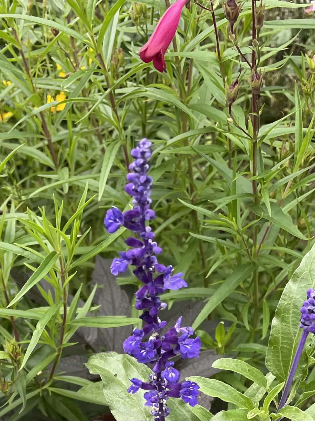 6F9E175D-739B-421C-990A-C92291D84E66