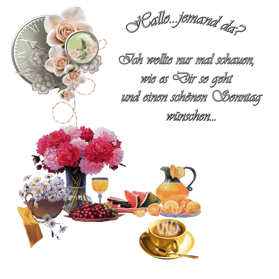 6fa9ccdae3df8108d78aa362cfba83d0.gif sonntag