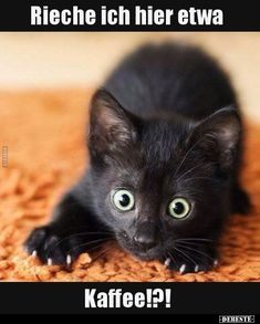 6fd856e067afa20b87f72d94bc14a928