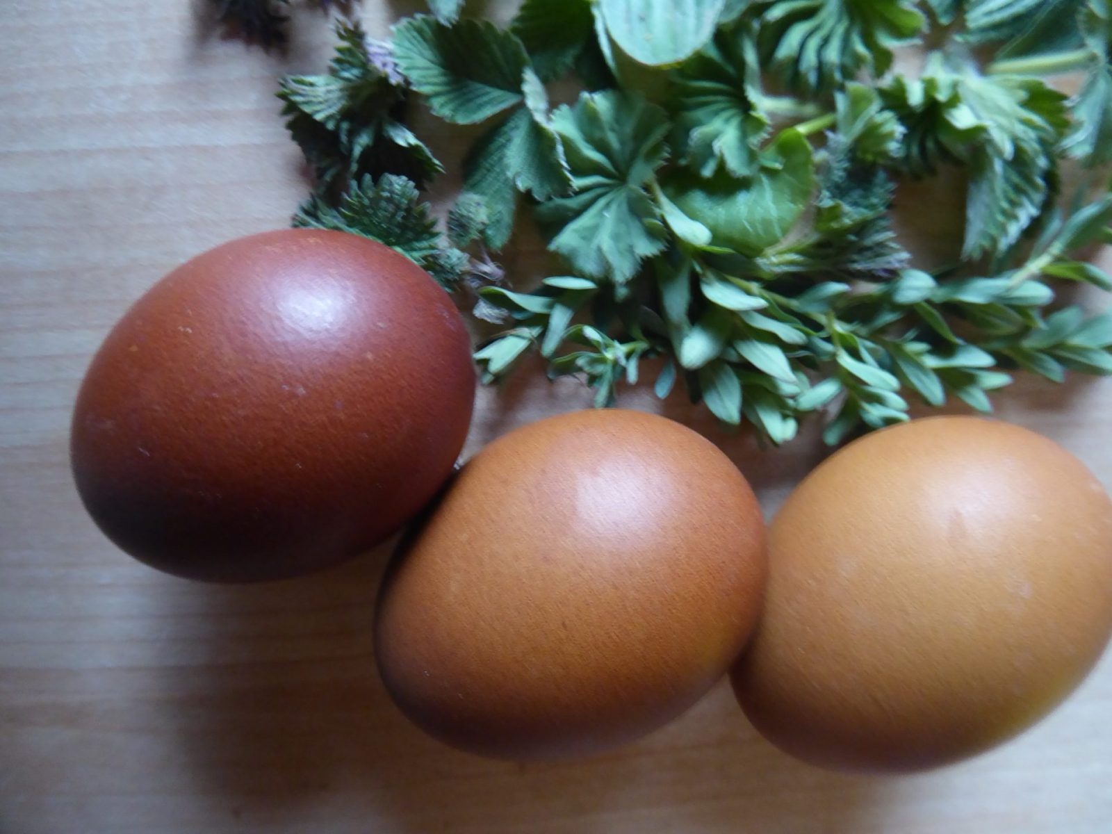 7.4.2022 Massage (38)