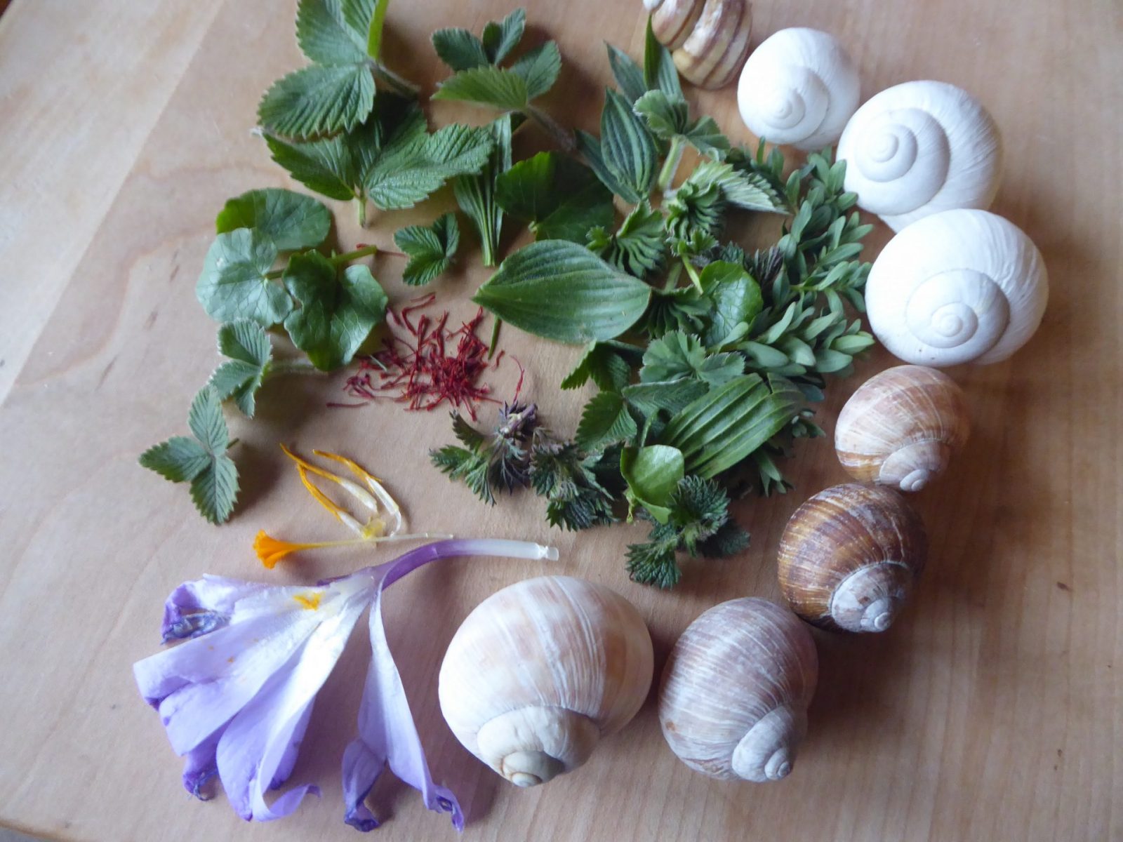 7.4.2022 Massage (44)