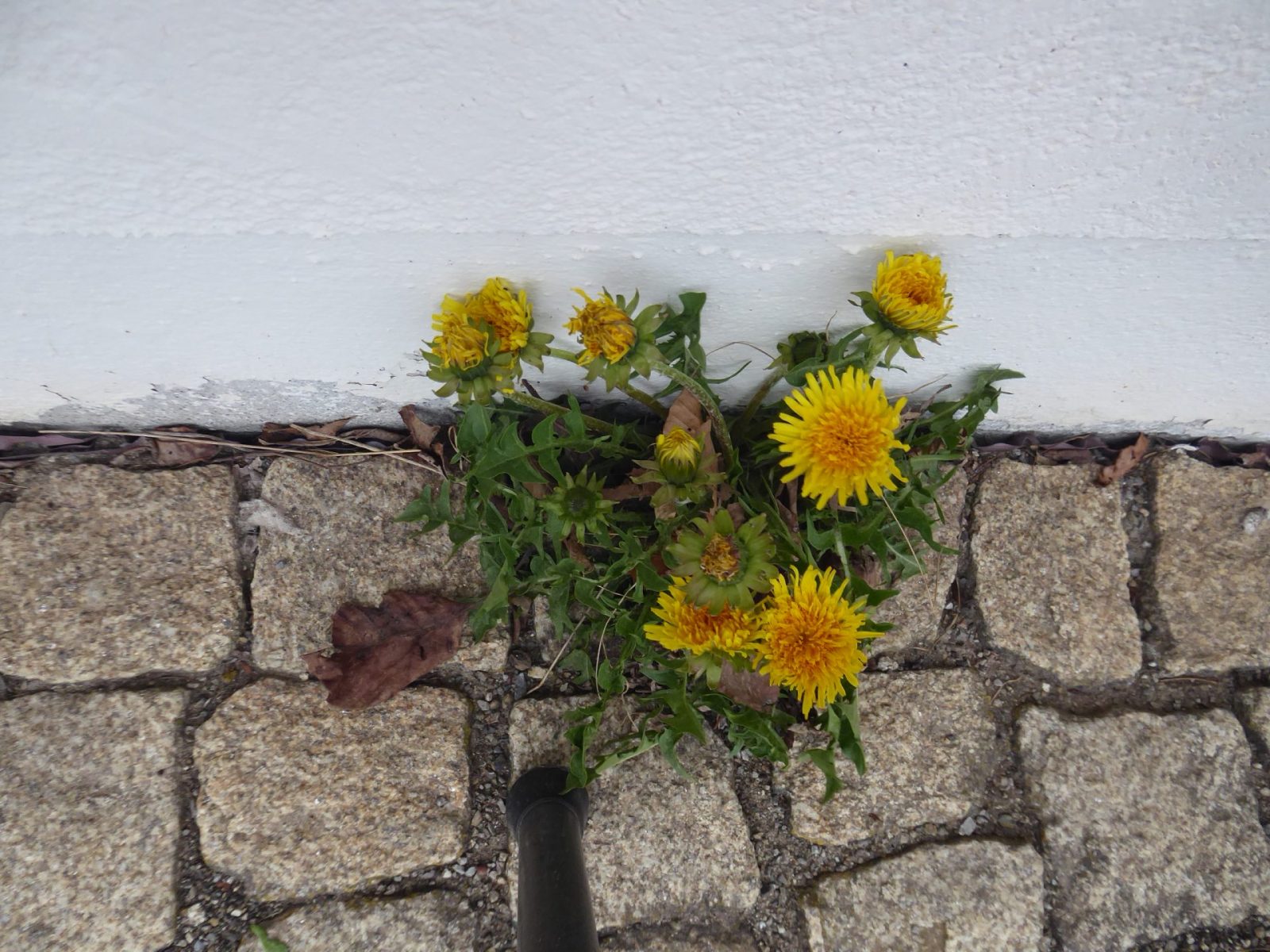 7.4.2022 Massage (5)