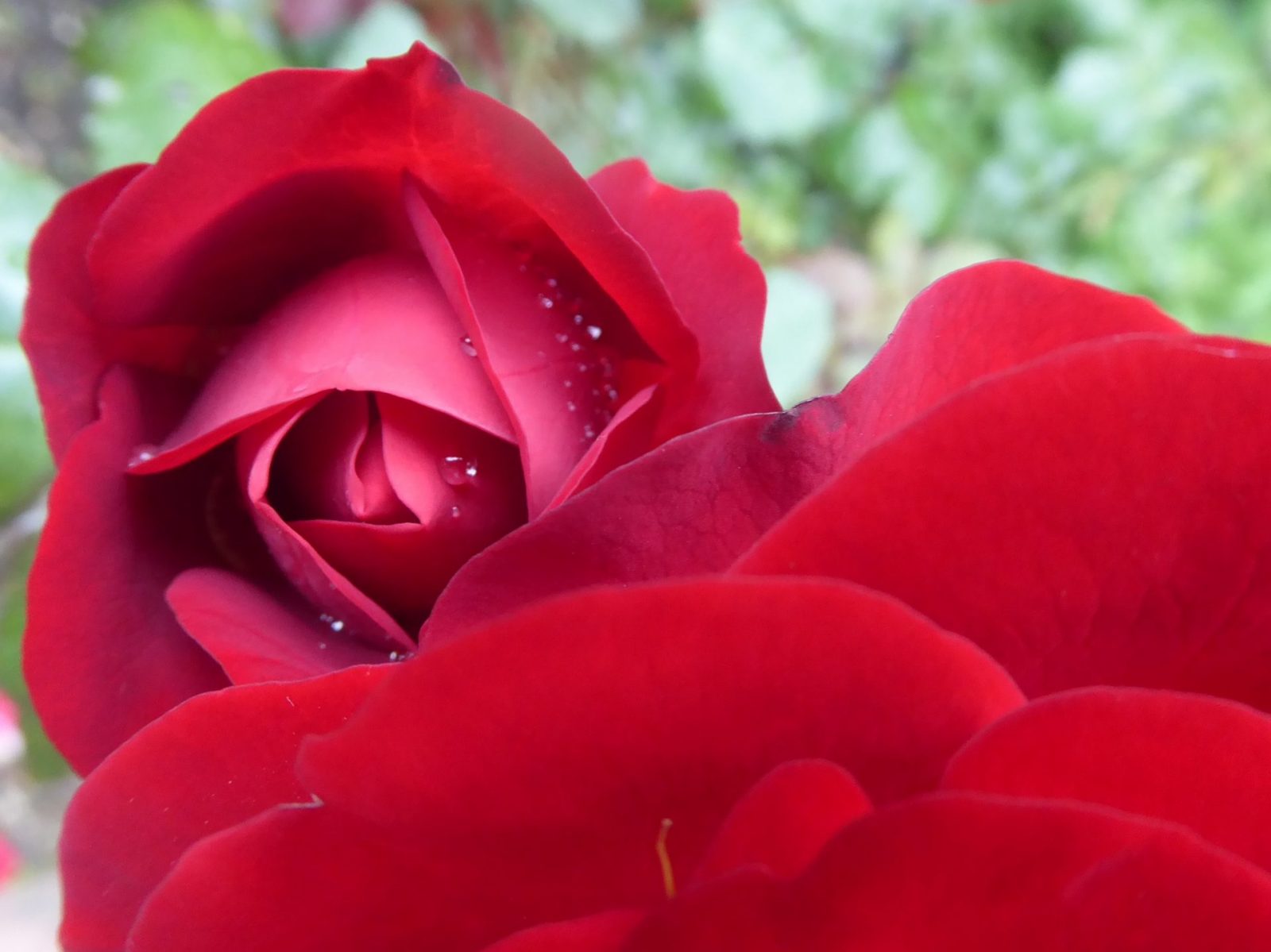 7.7.2020 Dienstag (61)